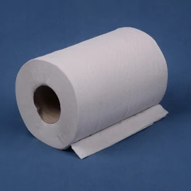 Tekercses törlőpapír 1 karton MINI CLASSIC - 14 cm 2 réteg törtfehér (12 tekercs)